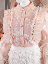 Blush Pink Sheer Lace Ruffled Blouse